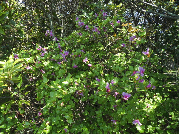 a0206345_1919936.jpg