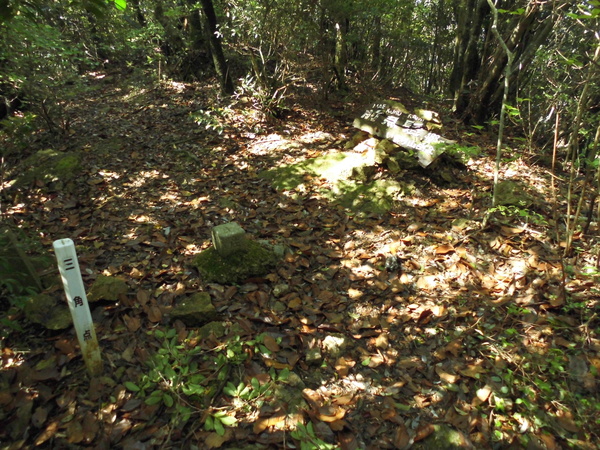 a0206345_19204993.jpg