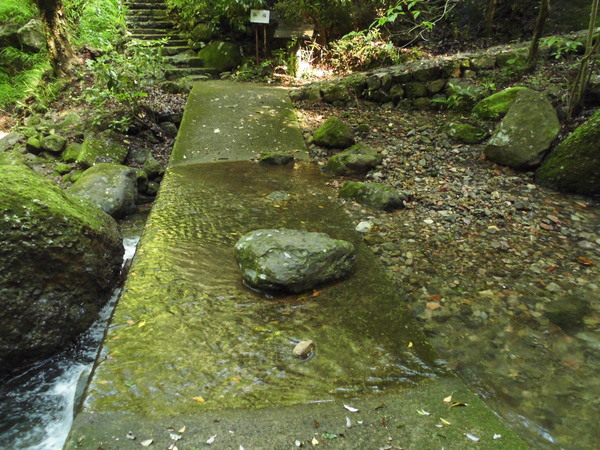 a0206345_1931631.jpg