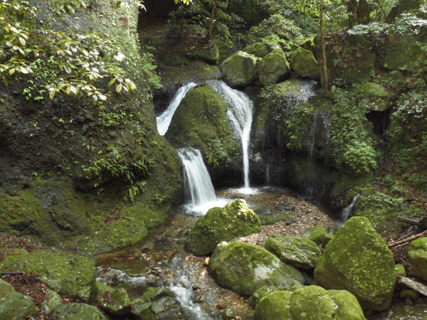 a0206345_1942740.jpg