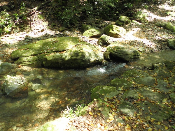 a0206345_19492762.jpg