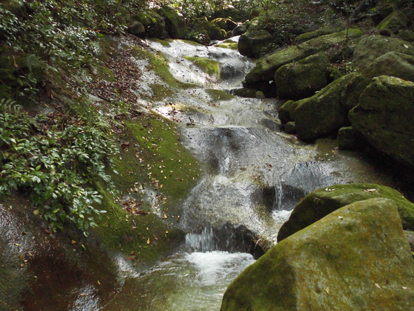 a0206345_199289.jpg