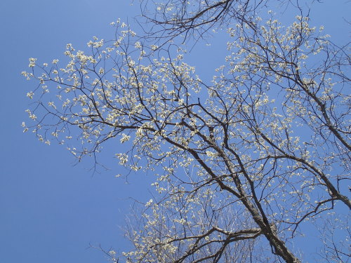 c0321967_19284756.jpeg