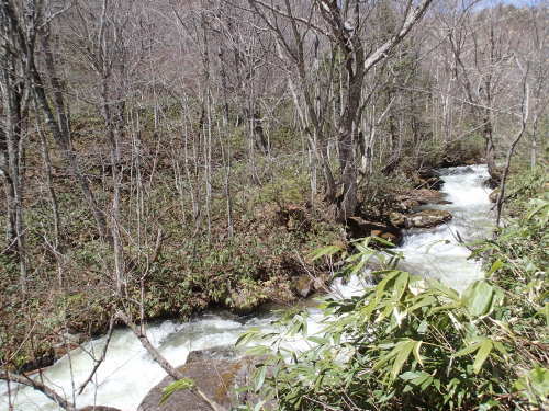c0321967_19385938.jpeg