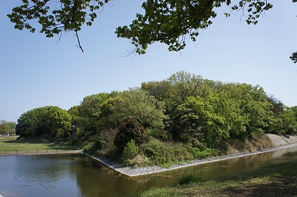 e0177271_19311794.jpg