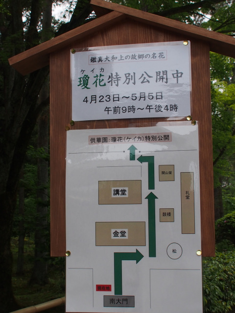 d0042474_22493825.jpg