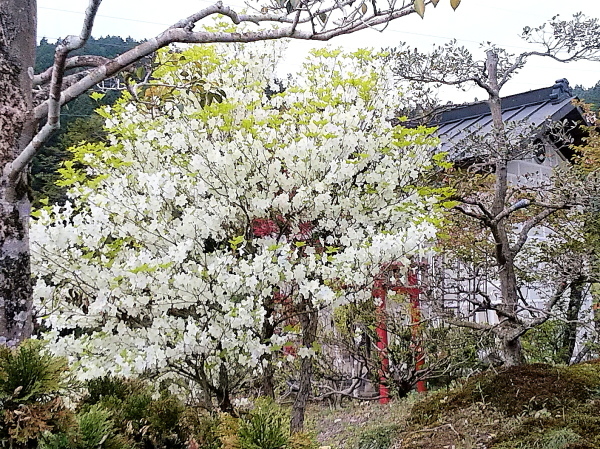 a0347276_10535902.jpg