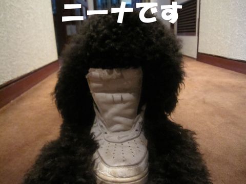 c0283778_15524155.jpg