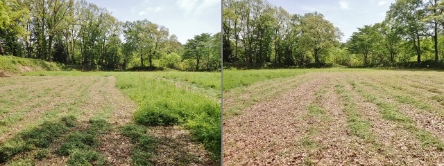 f0310988_15565949.jpg
