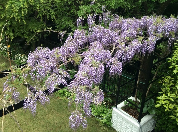 f0268294_10234573.jpeg