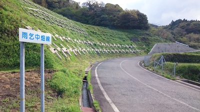 f0061705_1130234.jpg