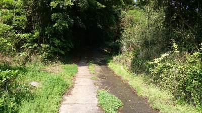 f0061705_11515626.jpg