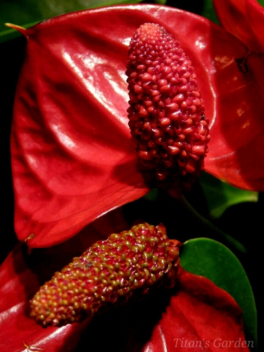 b0099813_18174082.jpg
