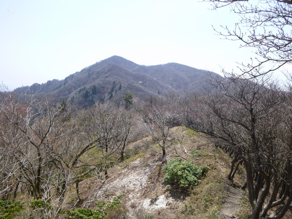 d0170615_22313176.jpg