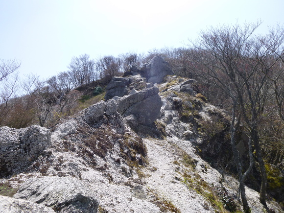 d0170615_22322982.jpg