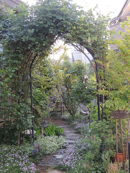f0150620_21394167.jpg