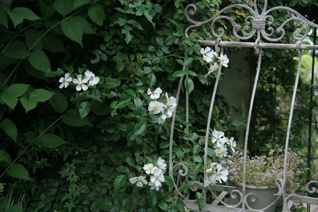 d0272423_11372403.jpg