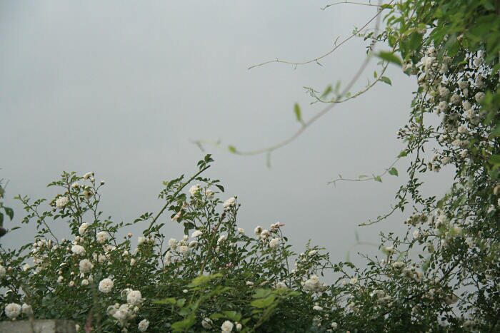 d0272423_11373584.jpg