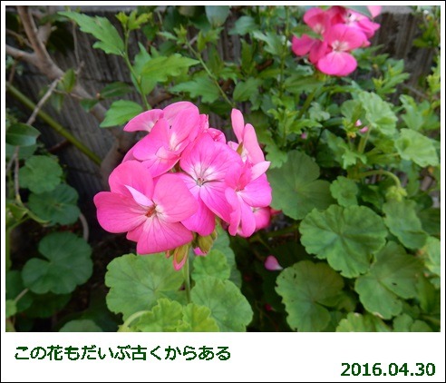 e0033229_1820433.jpg