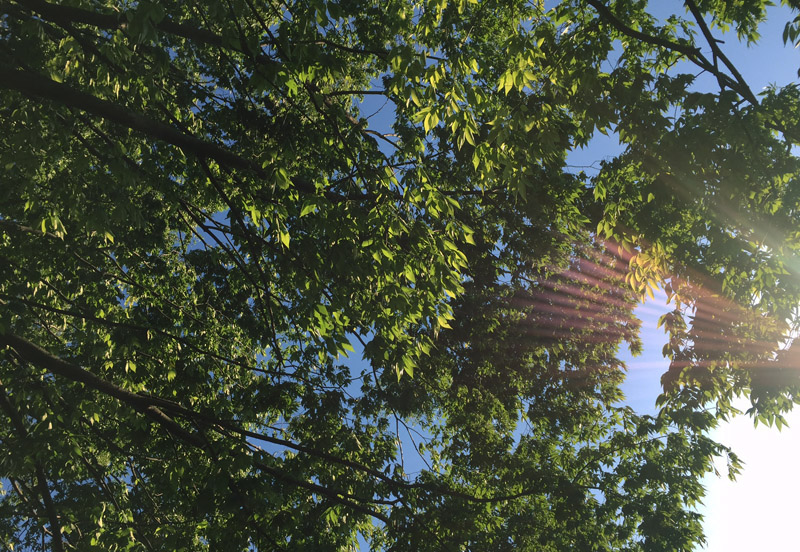 a0082132_9504937.jpg