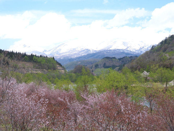 f0118332_22144888.jpg