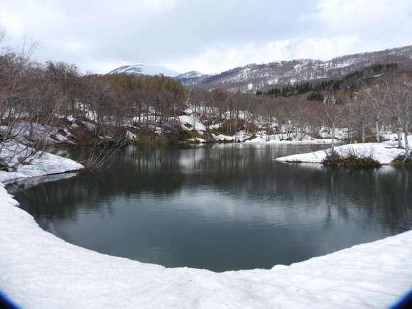 f0118332_22155978.jpg