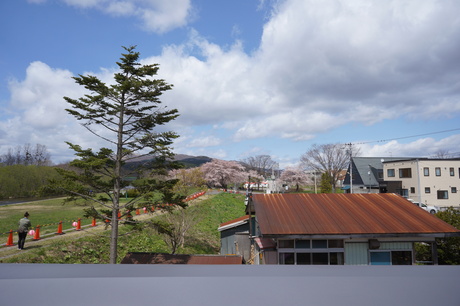 d0217833_1712133.jpg