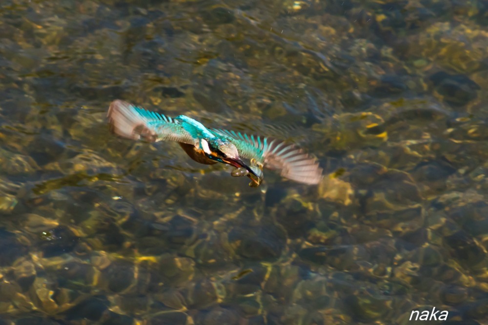 f0281533_14013772.jpg