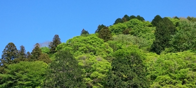 b0075140_21574387.jpg