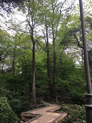 f0065542_15242864.jpg
