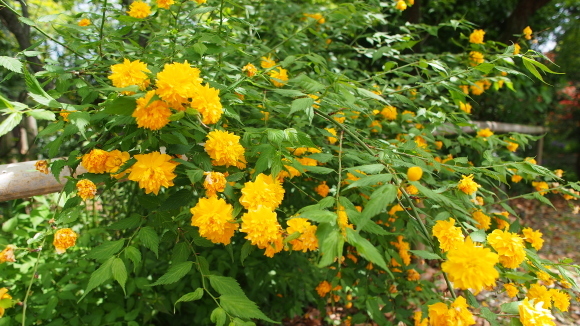 a0024250_10130220.jpg
