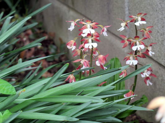 c0147952_0192753.jpg