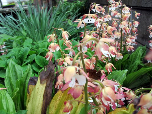 c0147952_020691.jpg