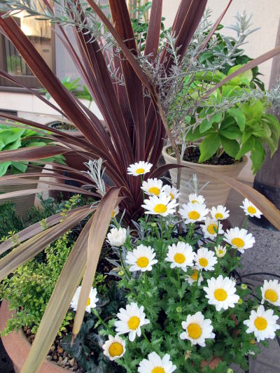 c0147952_20291679.jpg