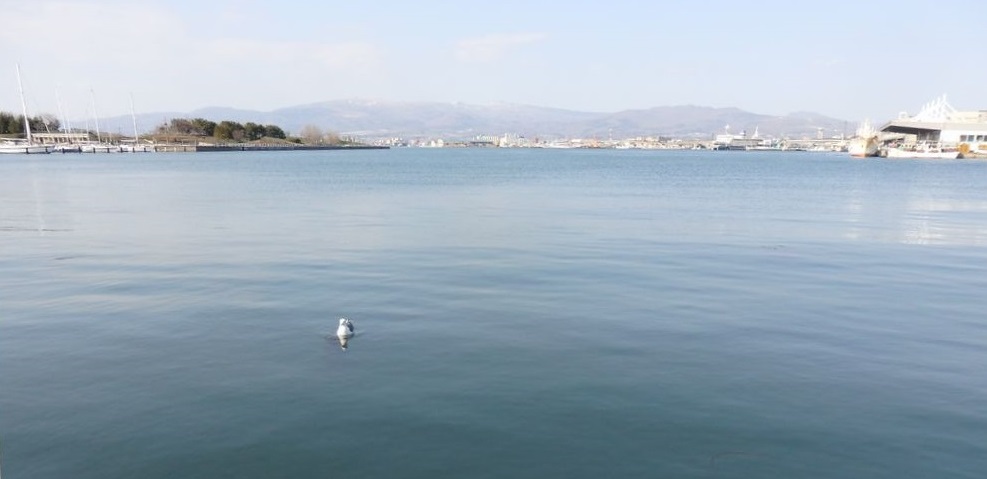 a0193457_172386.jpg