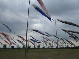 d0045362_10342380.jpg