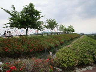 d0045362_10343755.jpg