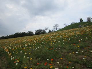 d0045362_10344932.jpg