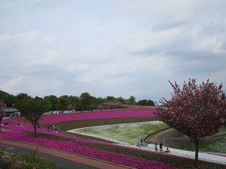d0045362_10351388.jpg