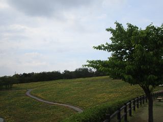 d0045362_1035240.jpg