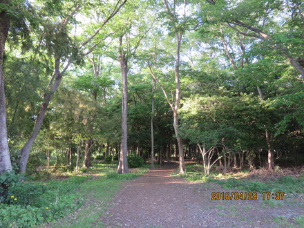 c0282566_18154875.jpg