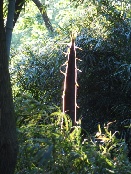 c0122670_07110280.jpg