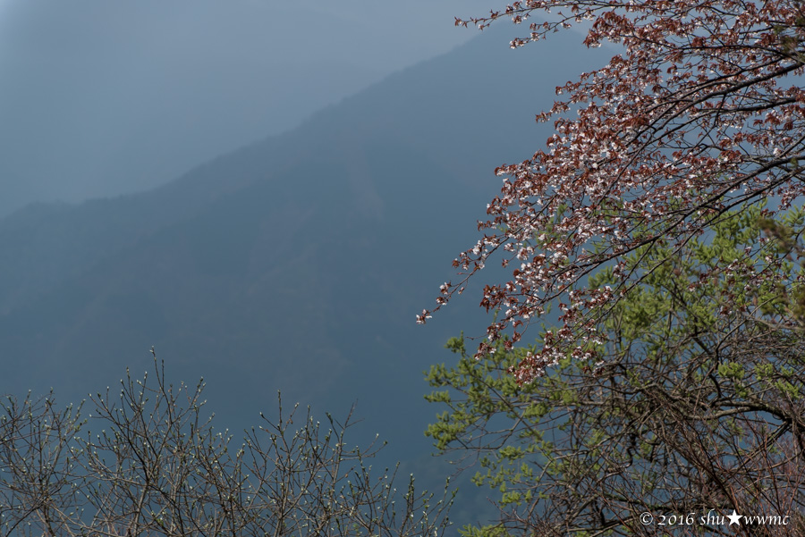 a0142976_10451448.jpg