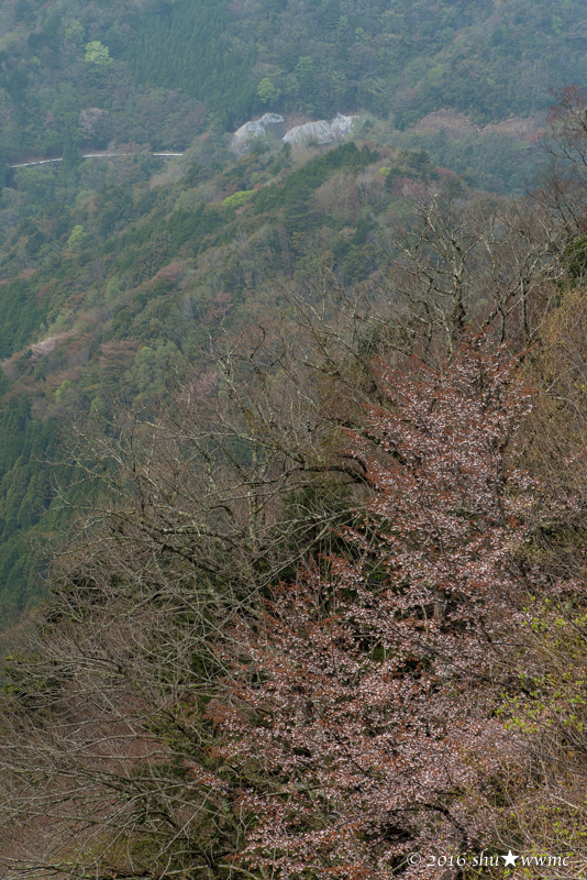 a0142976_1045614.jpg
