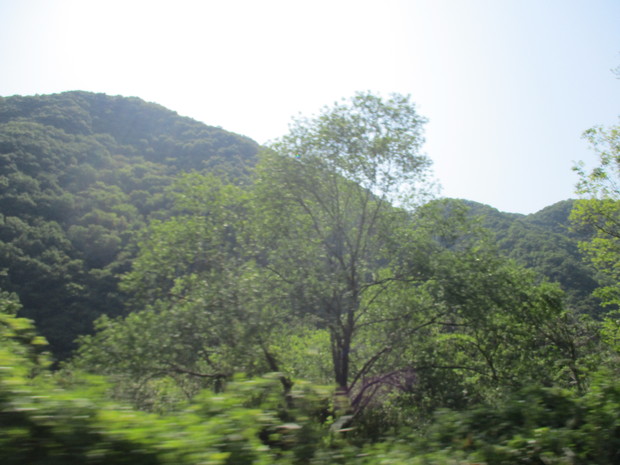 d0333091_18203189.jpg