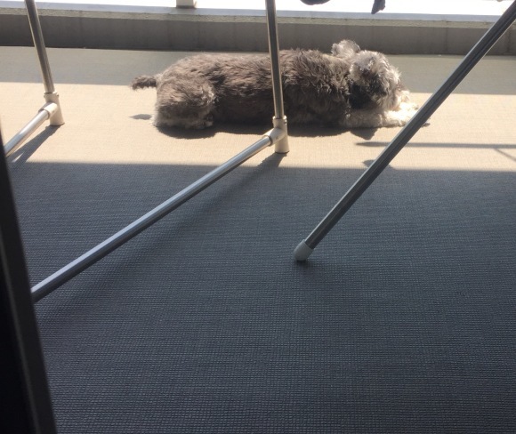 b0188998_13401963.jpeg