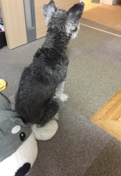 b0188998_13403295.jpeg