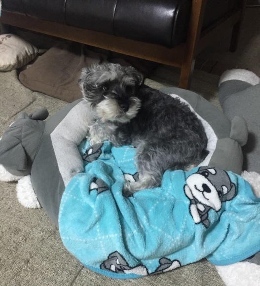 b0188998_13404637.jpeg