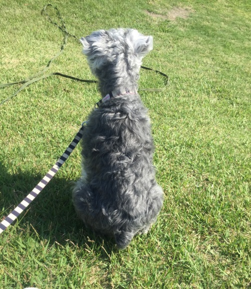 b0188998_13410391.jpeg