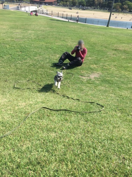 b0188998_13411996.jpeg
